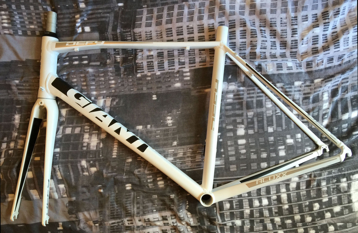 Giant best sale bike frame